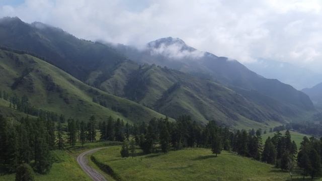 Маральник Удру. Алтай летом