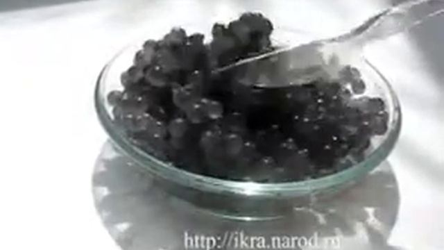 newblackcaviar1.flv смотреть онлайн
