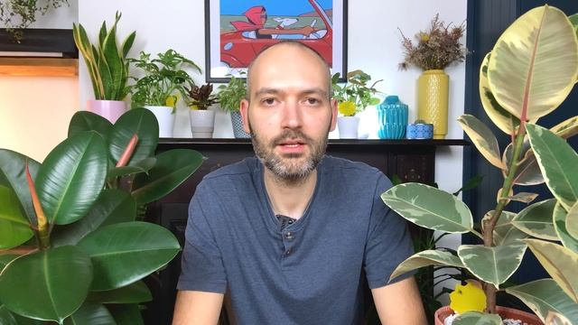 Rubber Plant Care & Tips | Grow Healthy Ficus Elastica Tineke/Robusta