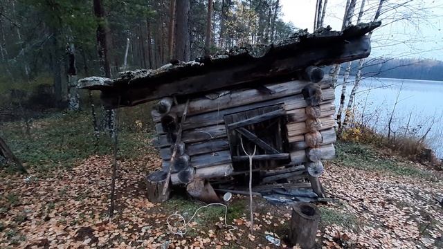 Лесные домики 5 / Таёжные избы смотреть онлайн