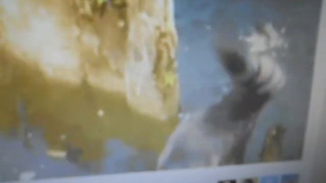 Фото в движении смотреть онлайн