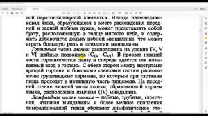 Клиническая анатомия глотки