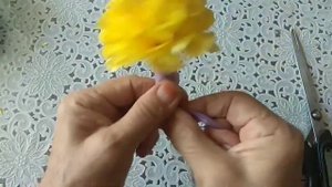 Целофан пакетдан чиройли сариқ гул/Salafan paketdan gul/Цветы из пакетов