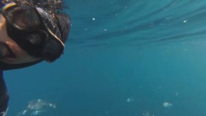 Гипероглиф