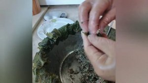 САМАЯ ВКУСНАЯ БАКИНСКАЯ ДОЛМА ИЗ ВИНОГРАДНЫХ ЛИСТЬЕВ- ПОПРОБУЙТЕ И УБЕДИТЕСЬ )) !