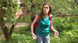 Коляска Omnio stroller