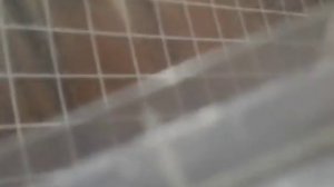 Получение паспорта РФ без подписи в форме П.1