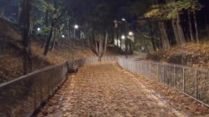 Самый длинный Пешеходный мост (~488м.)..  "Малиновый овраг", г.Звенигород (~37000чел.)..