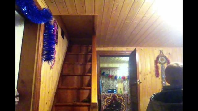 Хасята онлайн / Siberian husky live