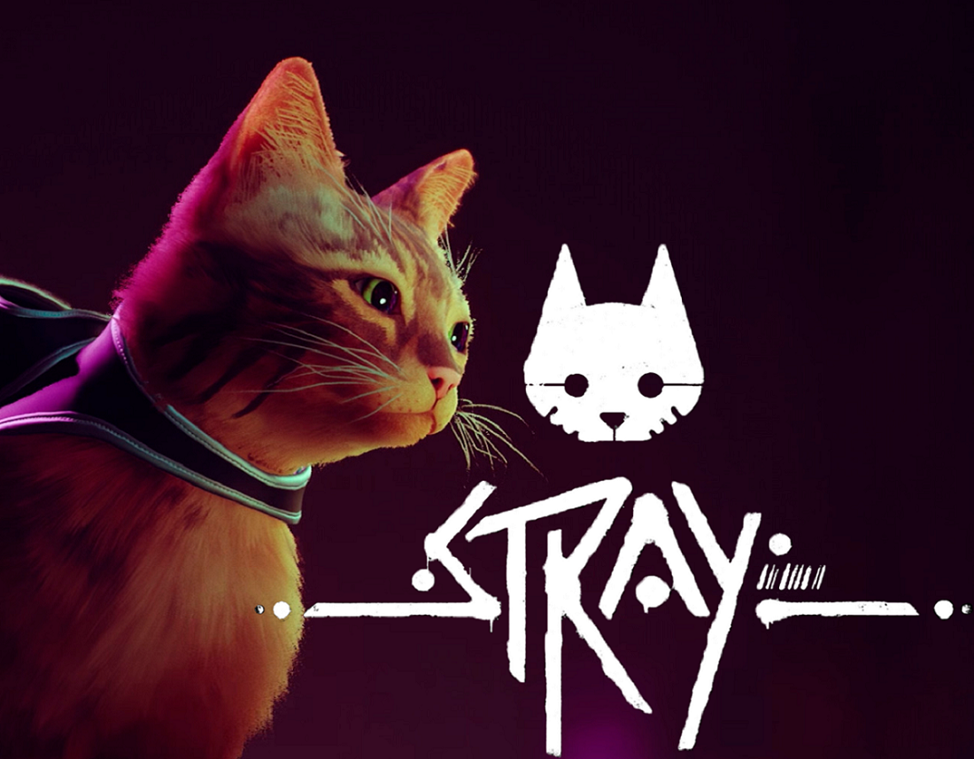 Новый друг. Stray №1