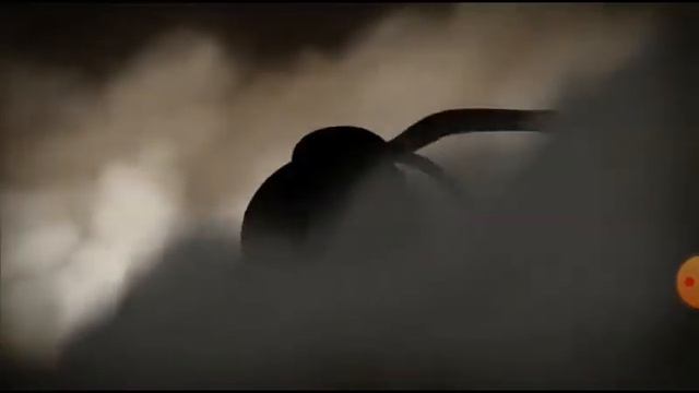 скора будет шедл вайт 2 ! я буду в него играть а покамись смотрите мультик смотреть онлайн