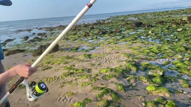 Tope/bull Huss hunt around the coast of Wales. Rocks blood and amazing views смотреть онлайн