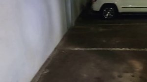 Лед лампы заднего хода MTF light back light