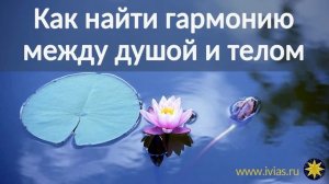 Как найти гармонию между душой и телом | Книга жизни