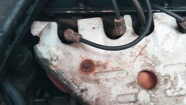 Fiesta 95 espanhol-a opinião dos seguidores do canal смотреть онлайн