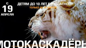ЦИРК ШАПИТО ДЕМИДОЫХ В НОВОСИБИРСКЕ (РОЛИК)