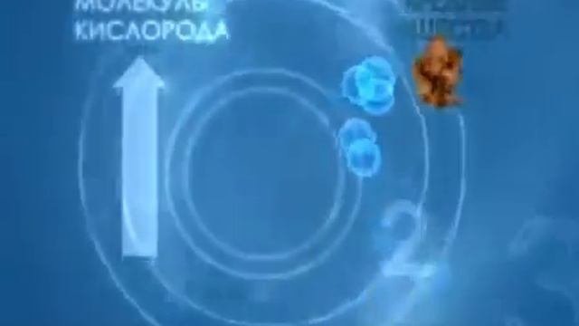 Применение озонатора «Гроза» озонирование воды