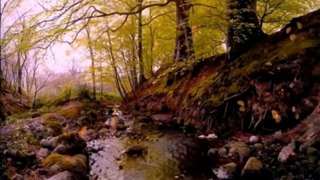 ОСЕНЬ ЗОЛОТАЯ...исп.Н.КАРАЧЕНЦЕВ