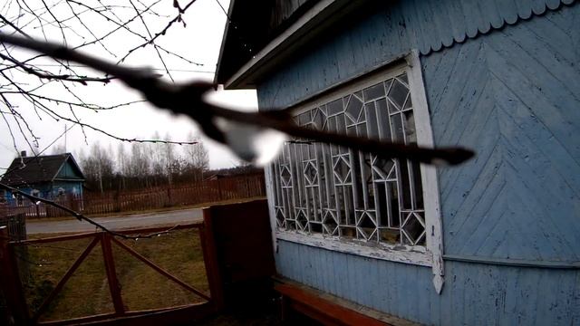Дышу пылью в городской квартире. Дренаж для канализации из бочек в деревне