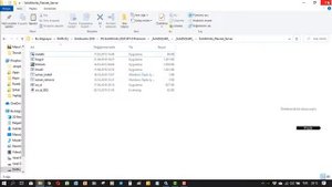 Solidworks Flexnet Server Başlatamama Sorunu