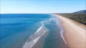 Для чего на планете Земля нужен человек?
