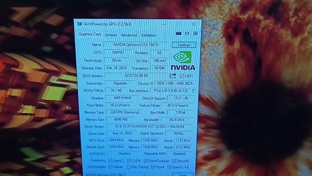 VID_20240119_152207 смотреть онлайн