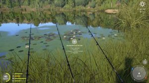 Русская рыбалка 4 - озеро Комариное - Лягушка среди голавлей