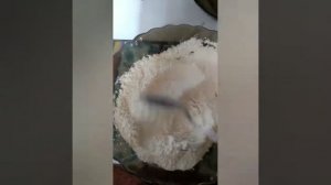 Как готовят Армянский Огурец(Тортарелло, Абруззе) Не хуже, чем жареный Кабачок.