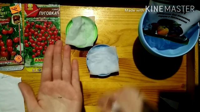 Томаты на подоконнике. Экспериментальная посадка. Садим томаты ЧАСТЬ 1-Я смотреть онлайн