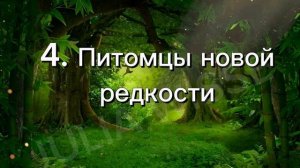 ИДЕИ ДЛЯ ОБНОВЛЕНИЯ В ВАЙЛД КРАФТ //3 Часть ➣WildCraft