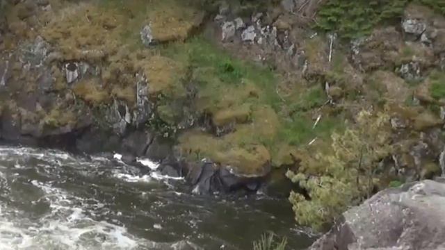 Карелия. Водопад "Кивач" смотреть онлайн