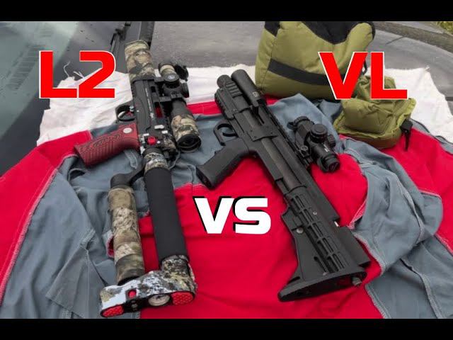 VL-21 300 vs L2 250 | Леший и Вилка, отстрел от покупателя. смотреть онлайн