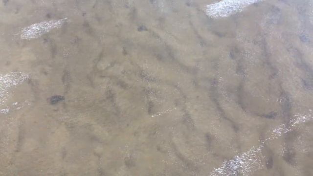 #Arian`s diary 8 смотреть онлайн