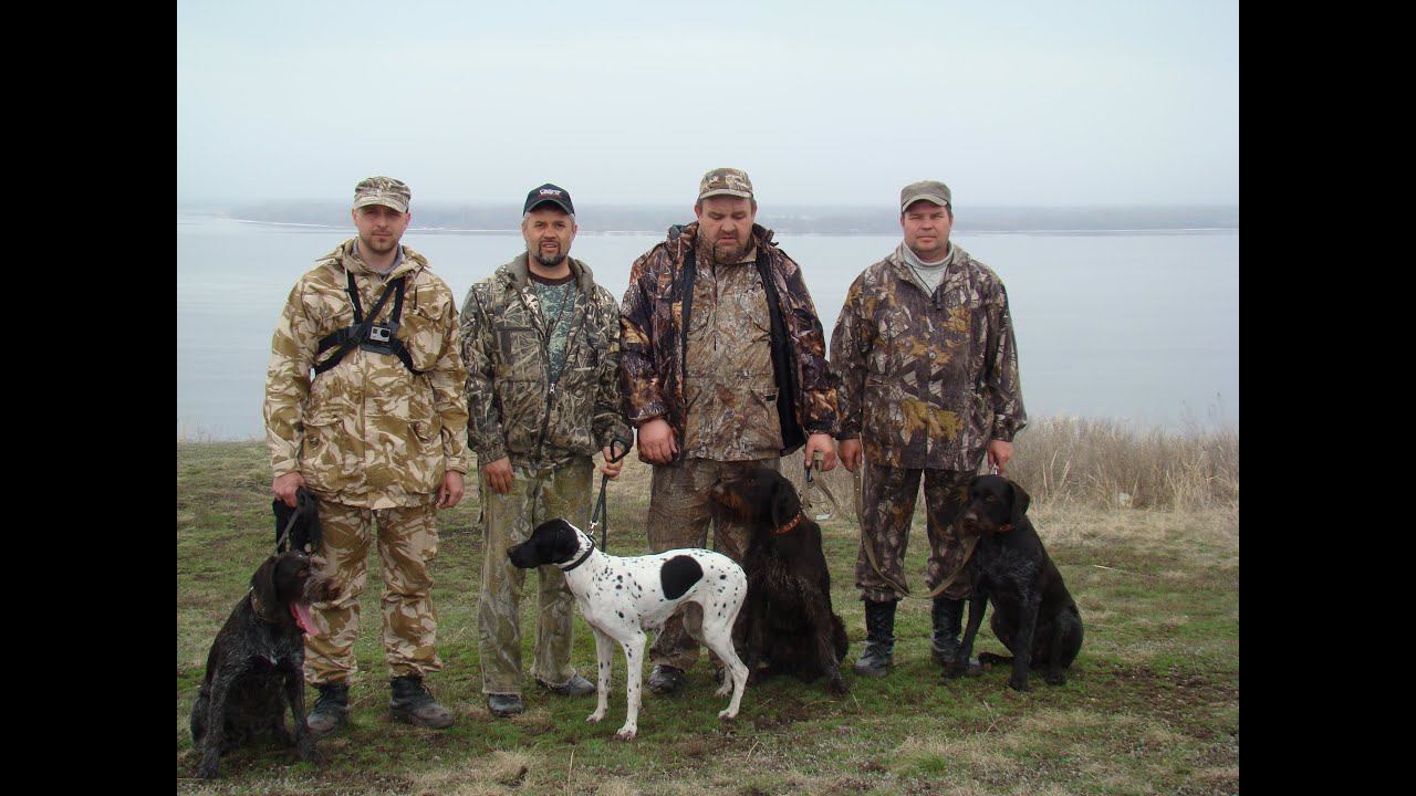 "Азбука натаски" - Весна 2014 года (первый заезд) смотреть онлайн