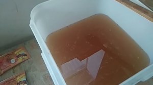 Даем сахарный сироп с кормовыми добавками пчелам. И добавляем в сахарный сироп хлорид кобальта.