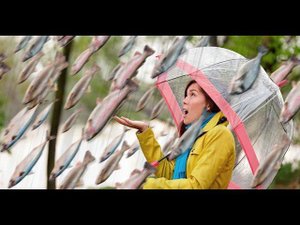 Самые НЕОБЫЧНЫЕ дожди в истории