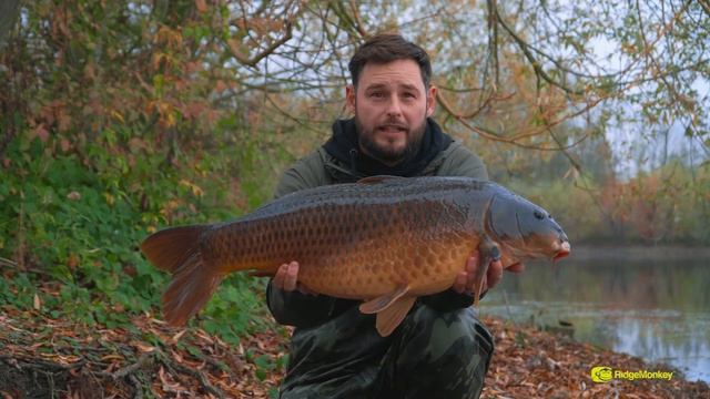 THE GREAT ESCAPE | S2 E4 | Abbey Lakes, Attila смотреть онлайн