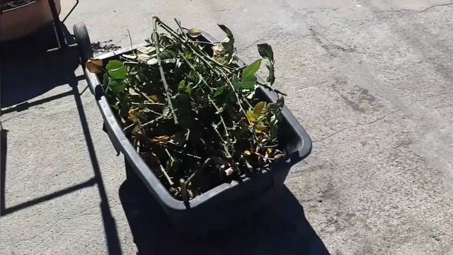 Работаем под звуки сирены. Опять ракетная атака в Одесской области.