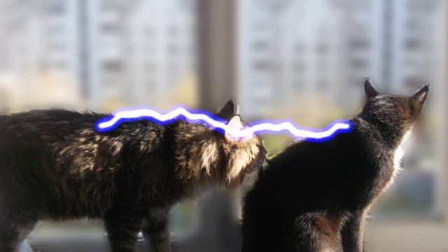 Как самому подшить валенки смотреть онлайн