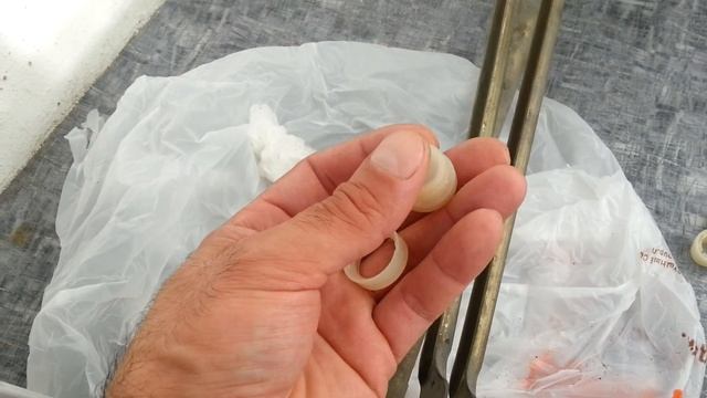 ремонт трапеции дворников Форд Фокус 1 (Ford Focus) смотреть онлайн