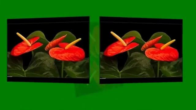 МУЖСКОЕ И ЖЕНСКОЕ СЧАСТЬЕ смотреть онлайн