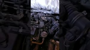 Завышаются обороты двигателя QG15DE (плавают)