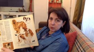 Чем отличаются Кавалер Кинг Чарльз спаниель от Кинг Чарльз Спаниеля?