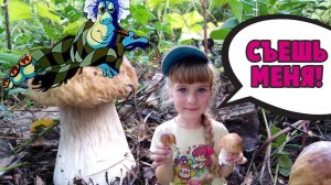 Как приготовить marshmello на огне! Мечты Иланы о каше, грибах и школе/Велочеллендж [VLOG]