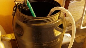 // ВНЕСЕНИЕ ФИТОЛАВИН // Новые идеи