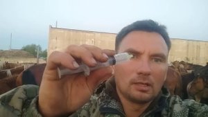 Как лечить воспаление глаз у лошадей.ТЕЛЯЗИОЗ. жеребёнок Каштан заплакал.
