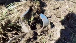 Замена, ремонт ножей на фрезах мотоблока.Удачный ли експеримент? Отчет по использованию