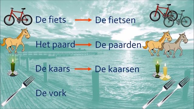 Learn Dutch - Plural