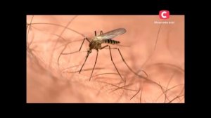 Лечение псориаза