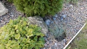 Моя дача в конце лета.Прогулка по саду.